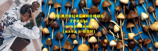 прущая мука Киреевск