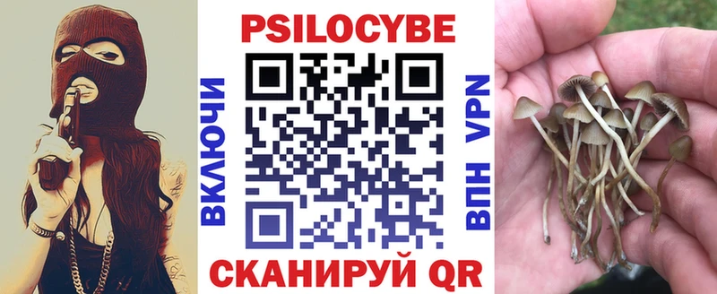 Купить закладки  Рыбинск  Галлюциногенные грибы прущие грибы 
